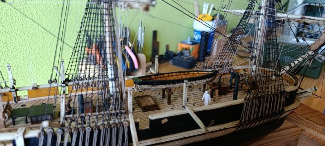 WhatsApp Image 2026-04-20 at 10.57.56 (1).jpeg