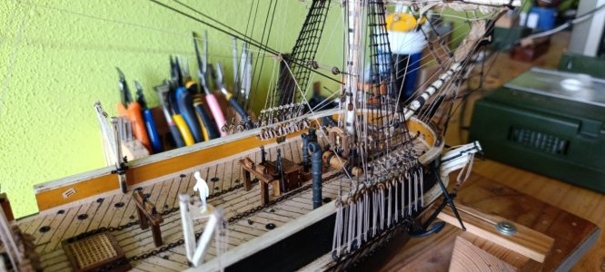 WhatsApp Image 2026-04-23 at 17.22.22.jpeg