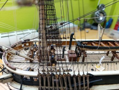 WhatsApp Image 2026-04-25 at 18.08.18.jpeg