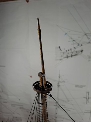 20260426_001.jpg