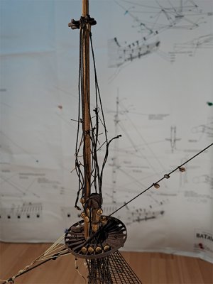 20260426_002.jpg