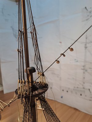 20260426_004.jpg