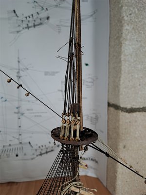 20260426_007.jpg