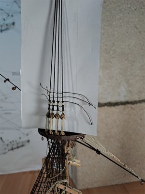 20260426_008.jpg