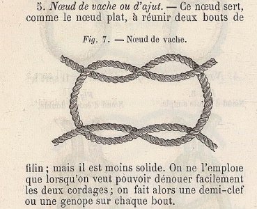Neoud_de_vache_wett.jpg
