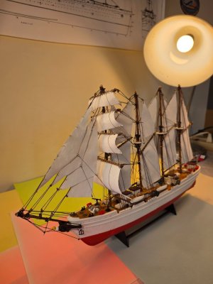 20260429_095713.jpg