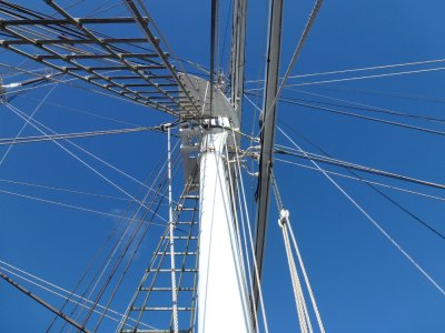 P1030279.JPG