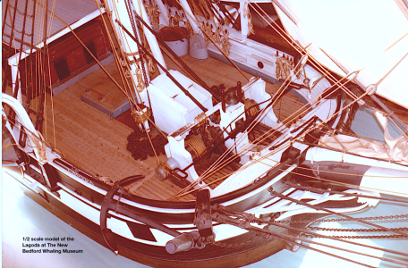 Lagoda 1:2 scale.png