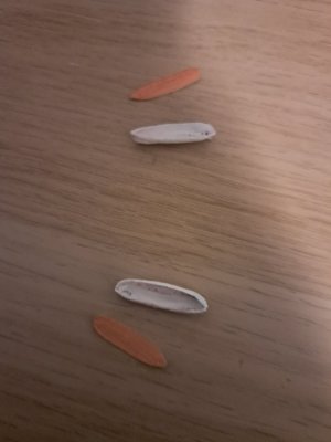 20260501_222636.jpg