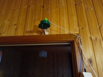 IMG_20260502_060307_576.jpg