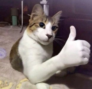 7YipZVe3W8y3aV8dgZrlwiwEmBkX8fxyaYbmCEW_7PkV9mT7HJwdwNLdENM8hmP8M9BrIgvXn4mzv69ioGW-kHZl.jpg