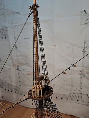 20260503_001.jpg