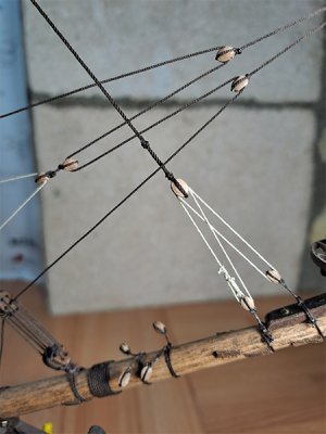 20260503_004.jpg