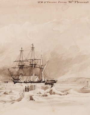 terror 1837 1.jpg