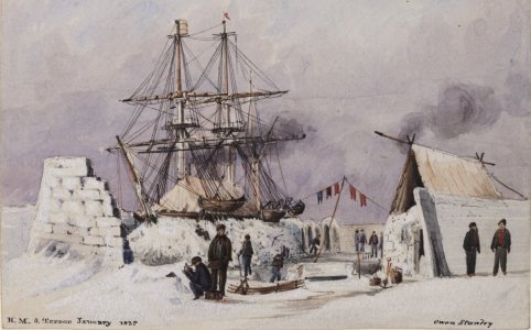 terror 1837.jpg