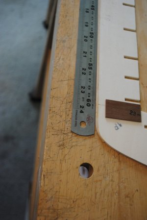 DSC_0701.jpg