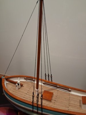 20260425_212211.jpg