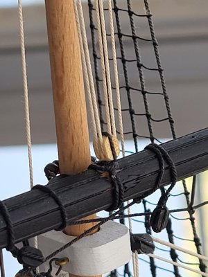 20260506_115639.jpg