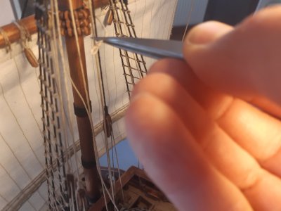 20220417_110440.jpg