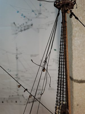 20260510_002.jpg