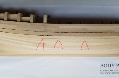 20240730_094740.jpg
