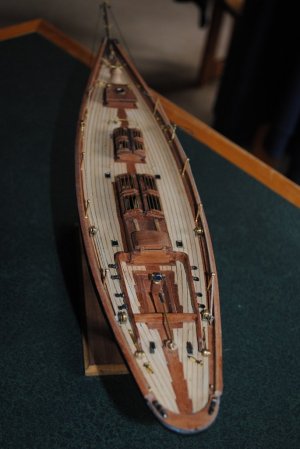 DSC_0990.jpg