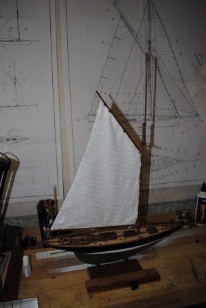 DSC_1000.jpg