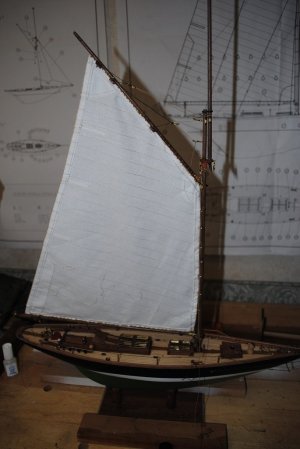DSC_1001.jpg