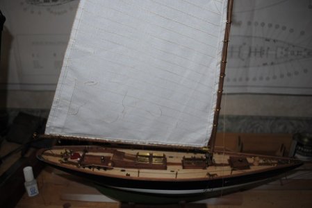 DSC_1003.jpg