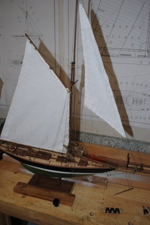DSC_1005.jpg