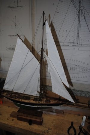 DSC_1552.jpg