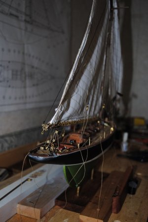 DSC_1553.jpg