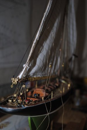 DSC_1554.jpg