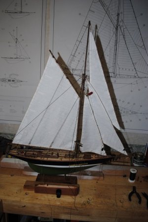 DSC_1555.jpg