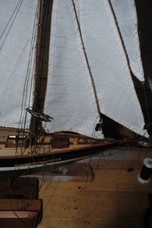DSC_1556.jpg