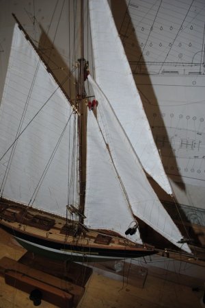 DSC_1557.jpg