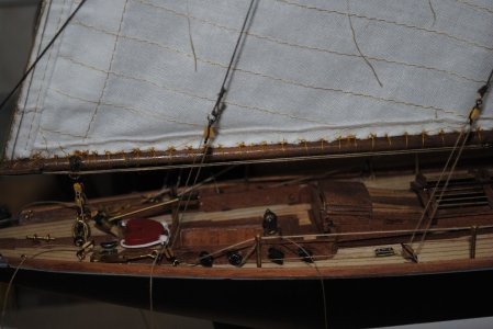DSC_1558.jpg