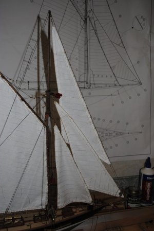 DSC_1559.jpg