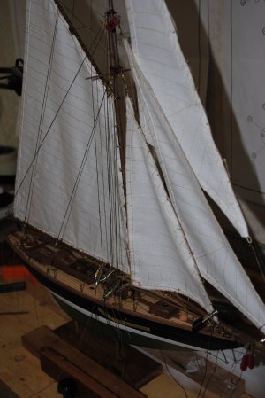 DSC_1560.jpg