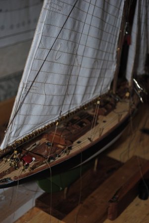 DSC_1562.jpg