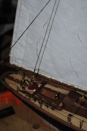 DSC_1563.jpg