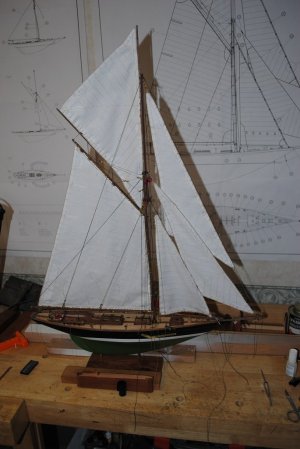 DSC_1570.jpg