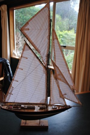 DSC_0157.jpg
