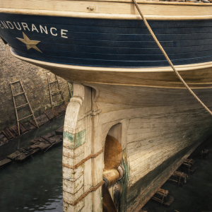 Endurance Stern2.png