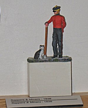 cats 072.jpg