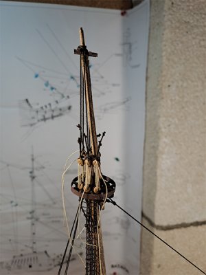 20260517_001.jpg
