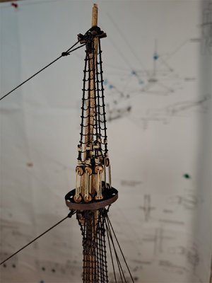 20260517_002.jpg