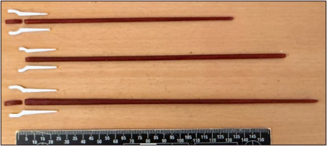 1063 Boom en Gaffels.jpg