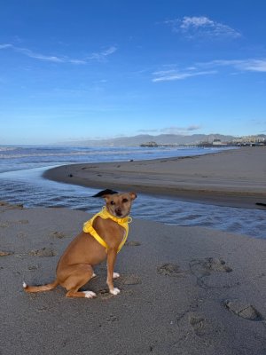 IMG_5068.jpeg