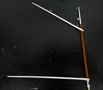 20260520_063512.jpg